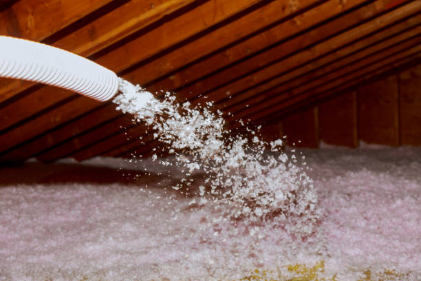 Best Energy Efficiency Solutions in Covington, VA