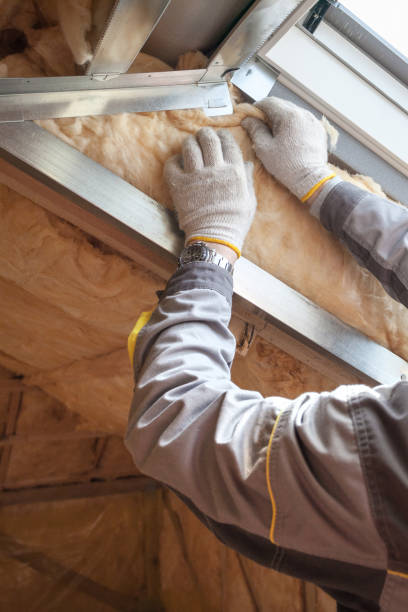 Best Insulation Maintenance and Repair in Covington, VA