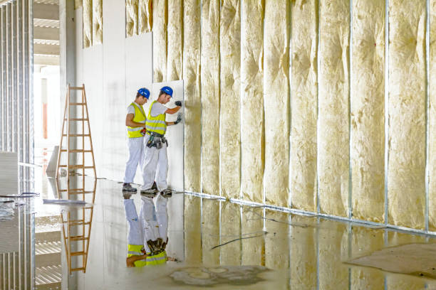 Best Insulation Maintenance and Repair in Covington, VA